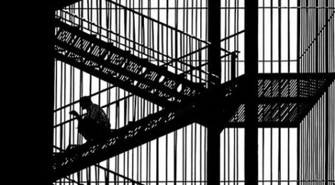 Versuche (Tries) [1986-2002]